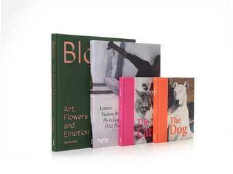 four standing books